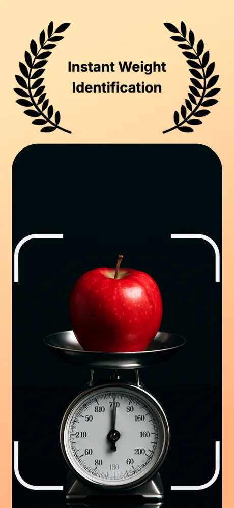Scale For Grams: Scalefy interface